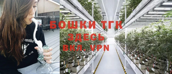 прущая мука Арсеньев