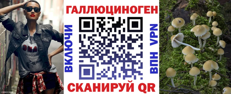Псилоцибиновые грибы Magic Shrooms  где купить наркоту  Приморск 